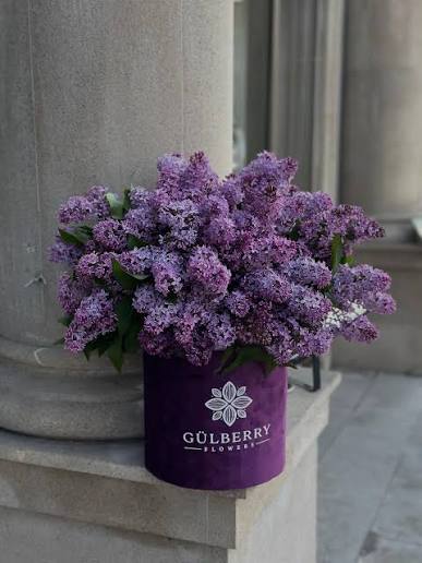 Gülberry